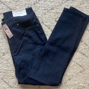 Ann Taylor Deep Blue Modern Skinny Jeans